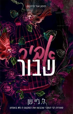 אביר שבור #2