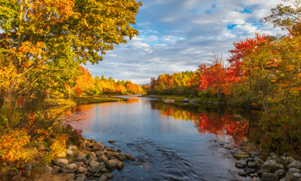 ספרים לסתיו